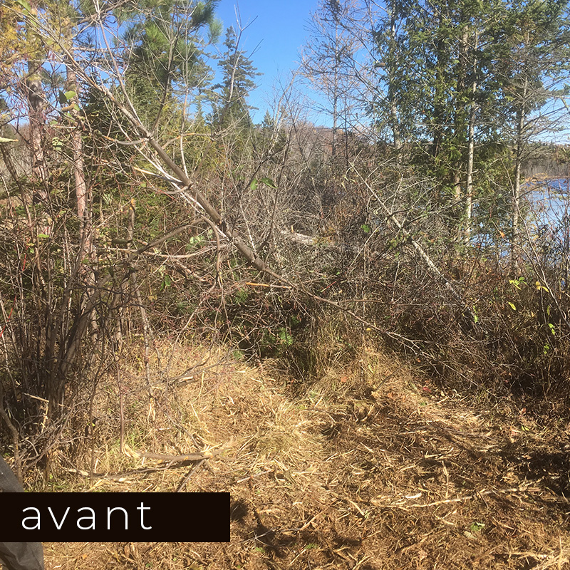 Broyage forestier - exemple 3